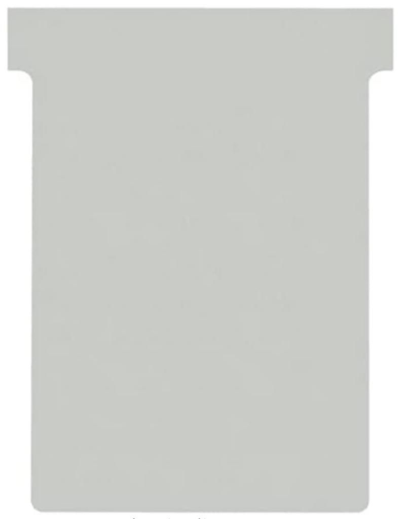 FICHE EN T - INDICE 3 - Lot de 100 unités - Gris