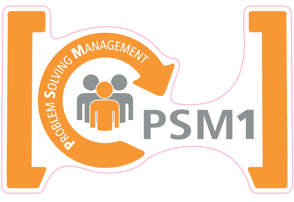 LISI - Stickers sol PSM1+ orange 800x500 mm